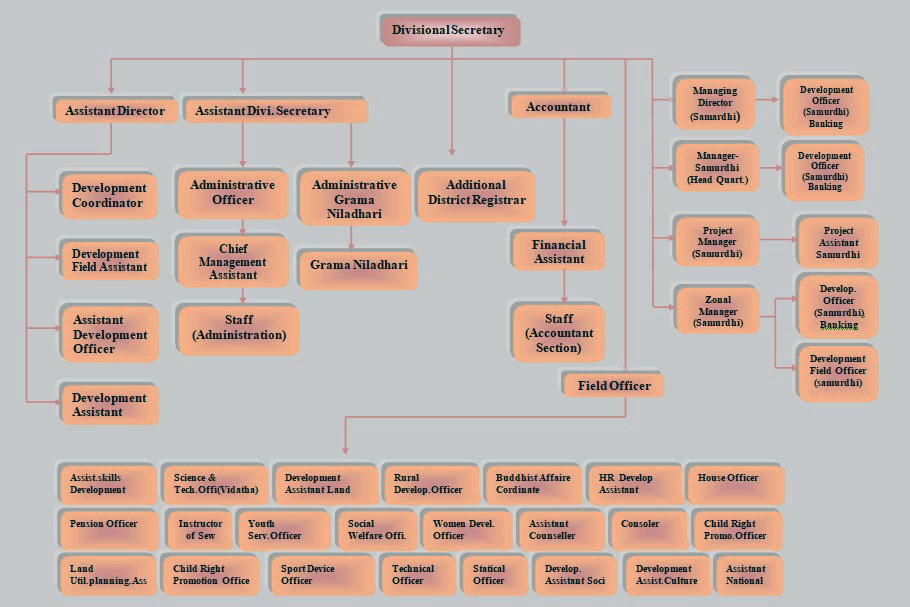 organization structure en