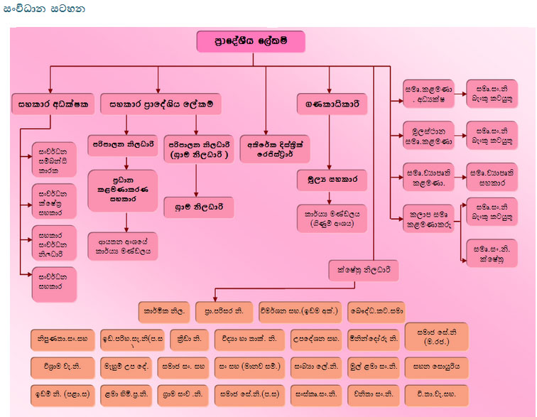 organization structure si