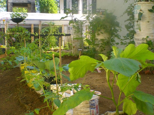DOMPE-DSGARDEN--004