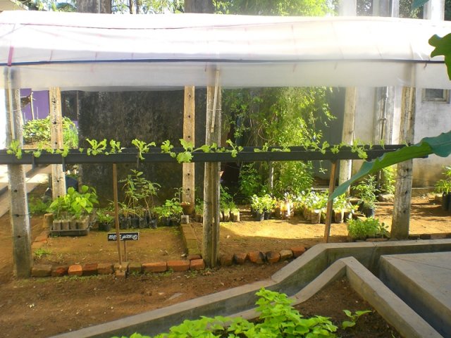 DOMPE-DSGARDEN--012