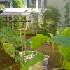 DOMPE-DSGARDEN--004