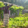 DOMPE-DSGARDEN--014